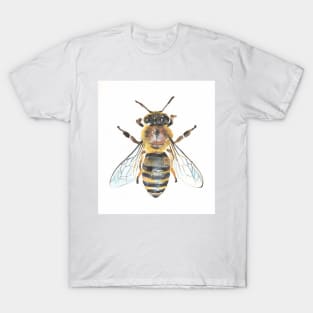 Honey Bee T-Shirt